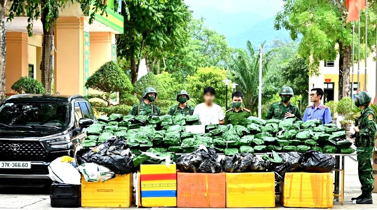 Bắt nam thanh niên vận chuyển, tàng trữ 240 kg cần sa- Ảnh 1.