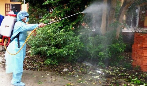 Nguy cơ dịch Chikungunya xâm nhập, chuyên gia chỉ cách phòng chống- Ảnh 1.
