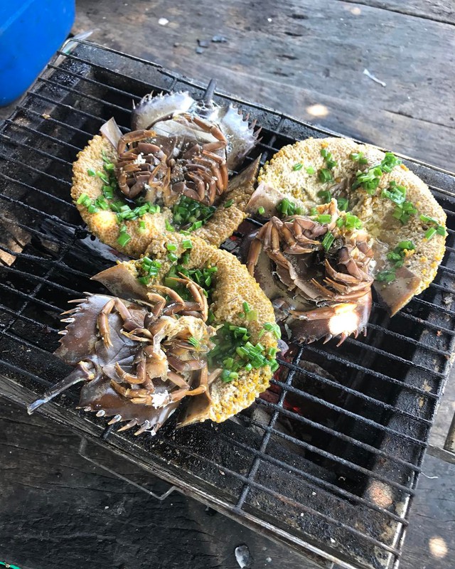 Đặc sản đắt hơn tôm, ghẹ, thuộc dạng quý hiếm ở Quảng Ninh: Bộ phận nào cũng nấu được, vị “kén người ăn”- Ảnh 5.