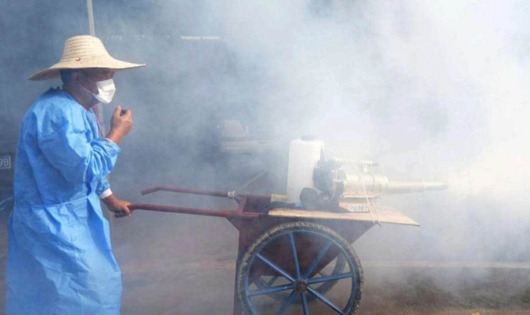 Hiểu rõ về virus Chikungunya: 7 ngày ủ bệnh, 5 triệu chứng và 3 bước điều trị tại nhà- Ảnh 1.