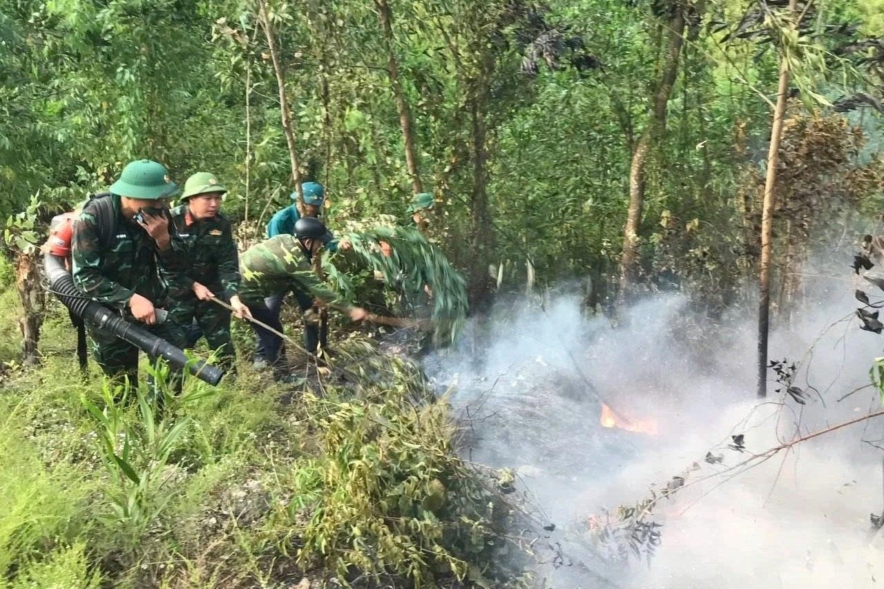 Sét đánh gây cháy rừng thông, hàng trăm người lao vào dập lửa- Ảnh 2.