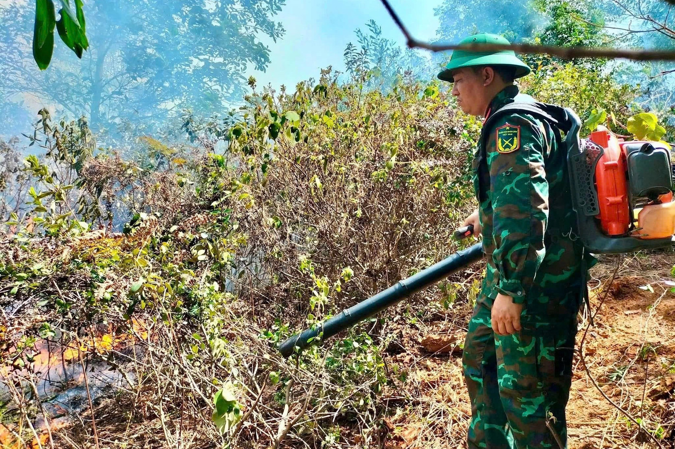 Sét đánh gây cháy rừng thông, hàng trăm người lao vào dập lửa- Ảnh 4.