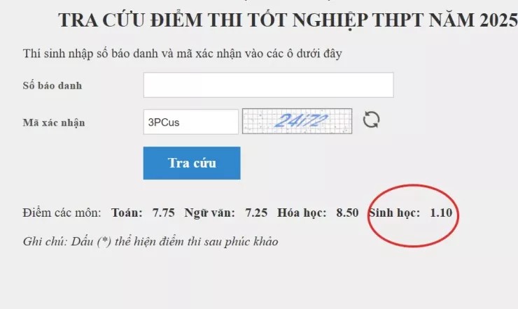 Từ 1,1 lên 8,75 điểm sau phúc khảo: Bài thi tốt nghiệp THPT ở Lào Cai gây chú ý- Ảnh 2.