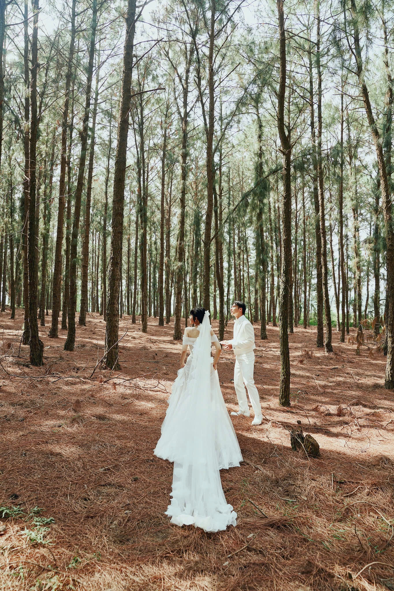 Nữ đại gia đi xem show của “huyền thoại” Jimmii Nguyễn ở rừng thông được ví như “Đà Lạt thu nhỏ” của tỉnh Phú Thọ- Ảnh 5.