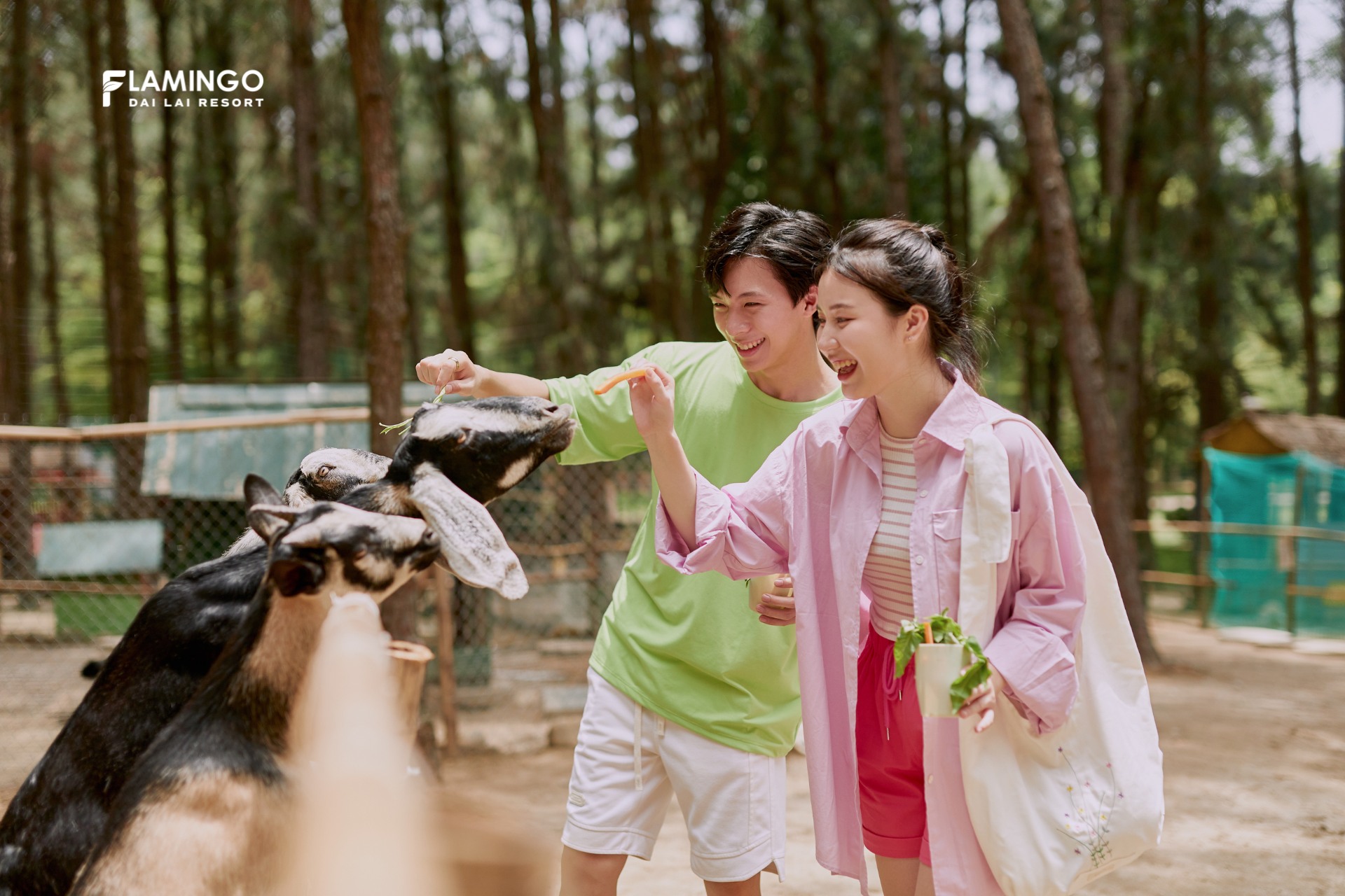 Nữ đại gia đi xem show của “huyền thoại” Jimmii Nguyễn ở rừng thông được ví như “Đà Lạt thu nhỏ” của tỉnh Phú Thọ- Ảnh 4.