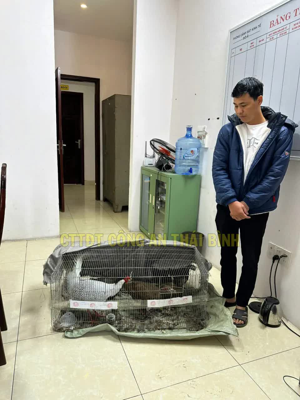 Được cho về nhà sau khi bị kết án vụ "Gà lôi trắng", anh Thái Khắc Thành có được miễn trách nhiệm hình sự?- Ảnh 1.
