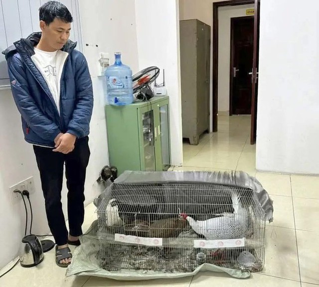 Vụ án "gà lôi trắng": Bị cáo Thái Khắc Thành được trở về nhà, cấm đi khỏi nơi trú- Ảnh 1.