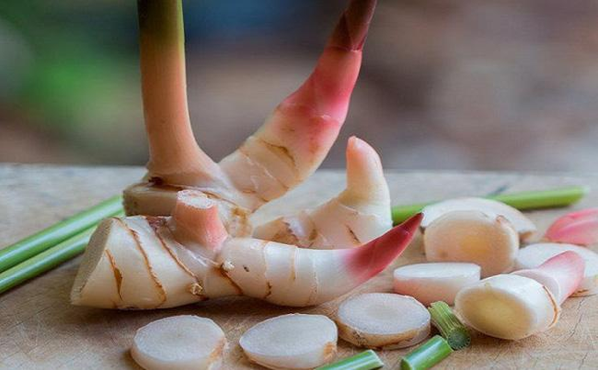 Loại củ "hiếm có khó tìm" trên thế giới, Việt Nam trồng bạt ngàn- Ảnh 3.