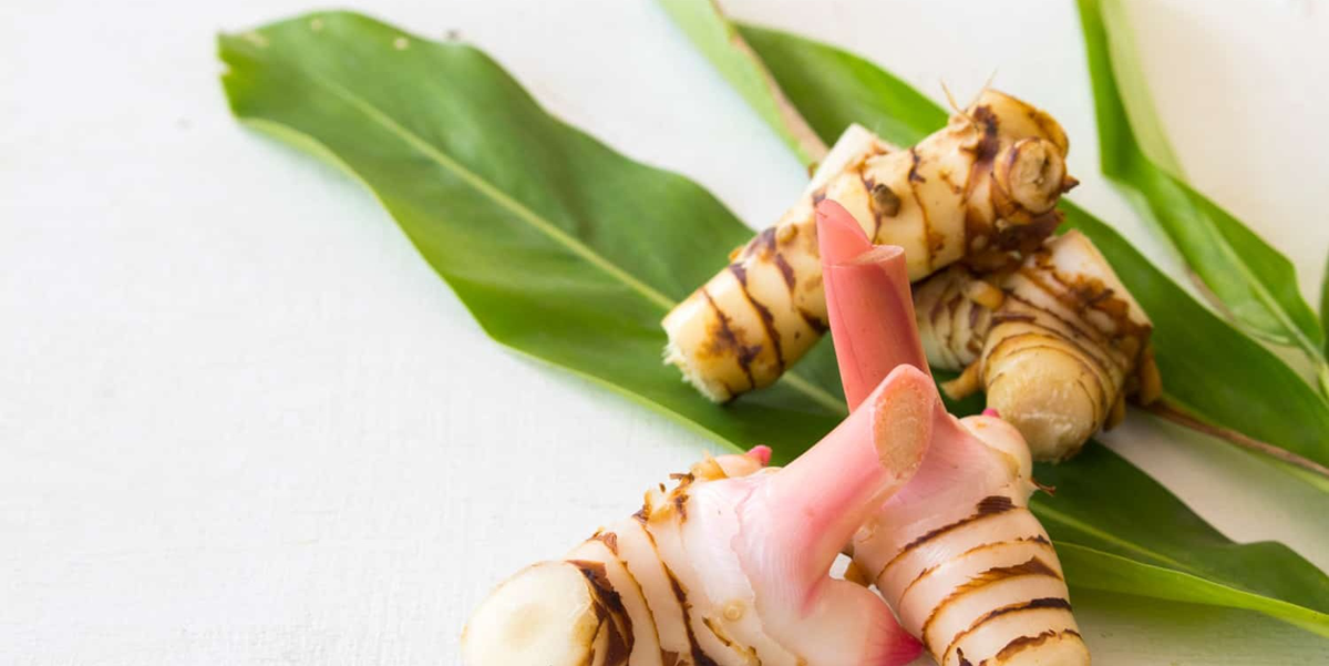 Loại củ "hiếm có khó tìm" trên thế giới, Việt Nam trồng bạt ngàn- Ảnh 2.
