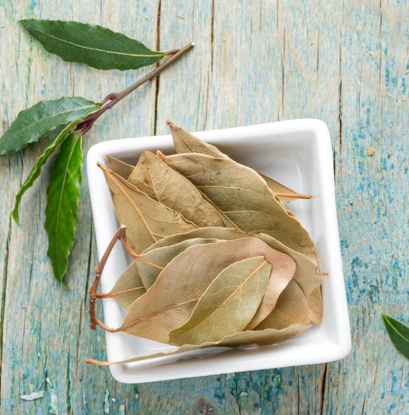 Loại lá ở Việt Nam nhiều người cho nhau miễn phí, ra nước ngoài giá 2 triệu đồng/kg- Ảnh 3.