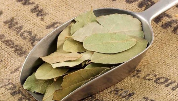 Loại lá ở Việt Nam nhiều người cho nhau miễn phí, ra nước ngoài giá 2 triệu đồng/kg- Ảnh 2.