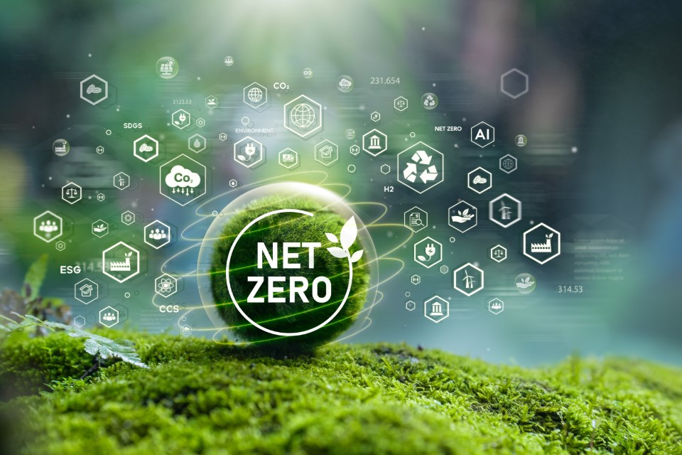 Thế hệ người Việt hiện đại “sống xanh, tiêu sành” trong kỷ nguyên hướng tới Net Zero- Ảnh 2.