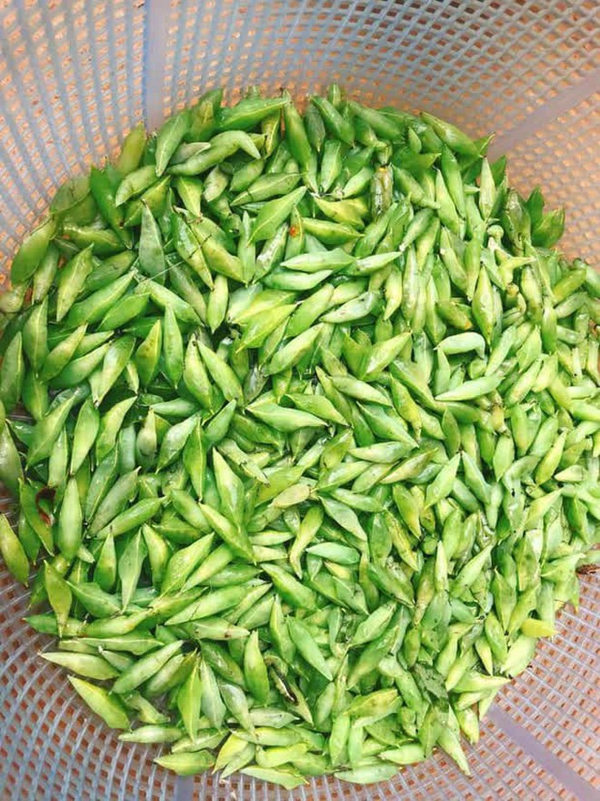 Những món đặc sản từ sâu bọ ở Việt Nam khiến nhiều người 
