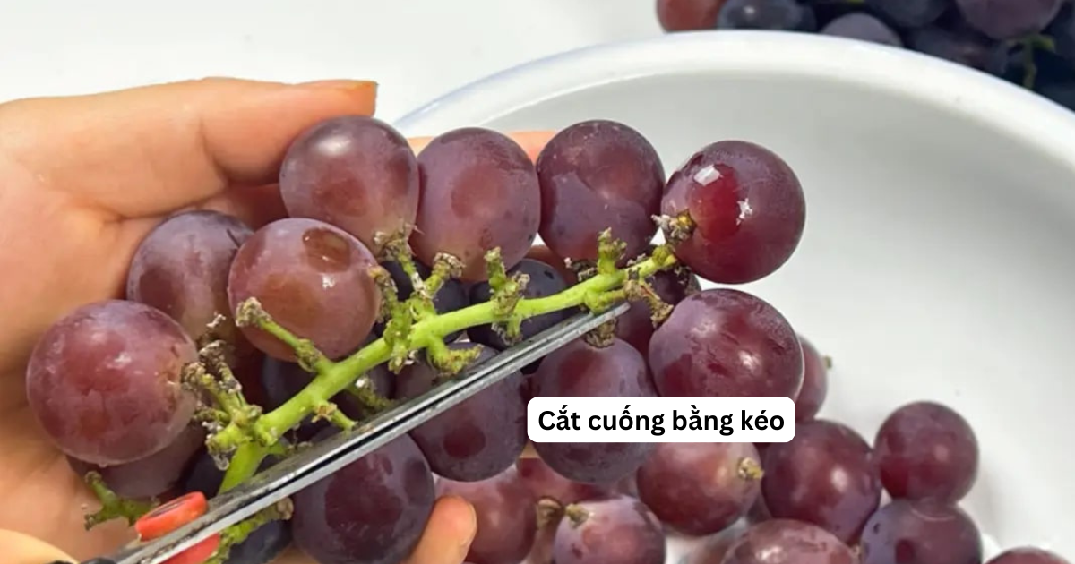 Cách rửa nho khiến trứng sâu trôi sạch, thuốc trừ sâu bay biến như chưa từng tồn tại- Ảnh 2.