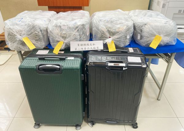 Bắt nam người mẫu 22 tuổi ngay tại sân bay- Ảnh 1.