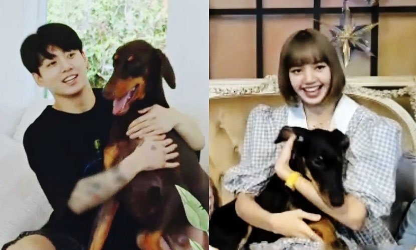 Jungkook (BTS) ẩn ý đáp lại Lisa (BLACKPINK), chuyện hẹn hò đã rõ như ban ngày?- Ảnh 6.