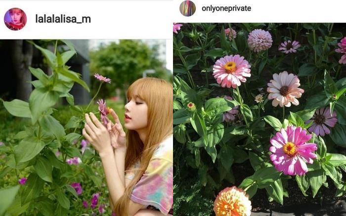 Không phải Jungkook, đây mới là tình cũ Lisa nhắc đến trong MV mới: Mỹ nam YG 1 thời, nay biến mất như chưa hề tồn tại- Ảnh 6.