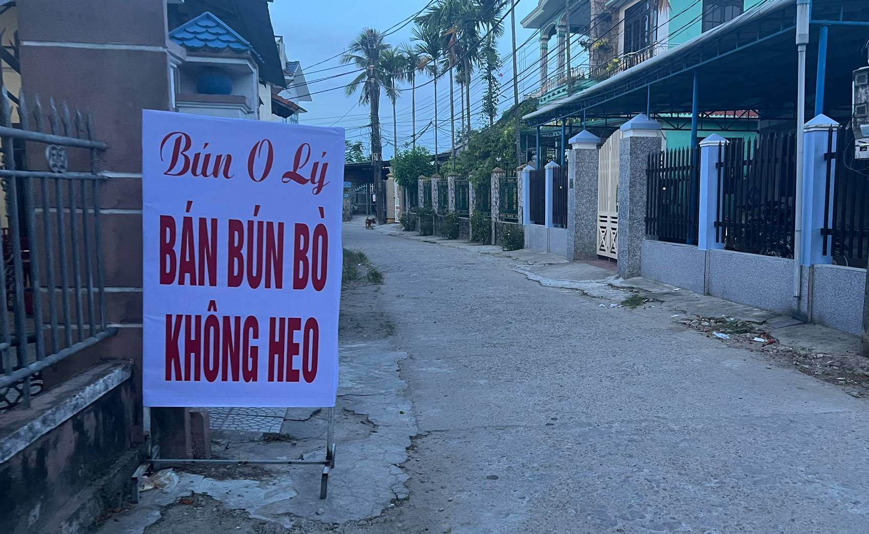 Ngành y tế Huế nói rõ nguyên nhân 4 người tử vong do liên cầu lợn- Ảnh 1.