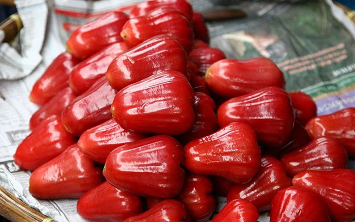 Loại quả quê ở Việt Nam chín rụng đầy gốc, sang nước ngoài vừa đắt đỏ vừa được coi là "vua trái cây"- Ảnh 2.