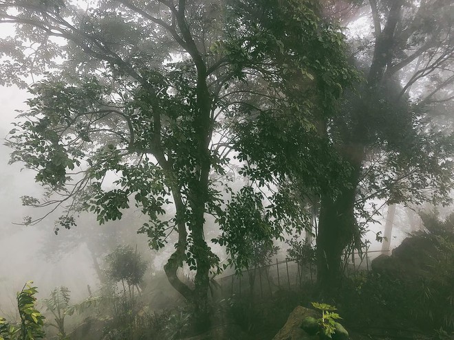 "Miền đất hứa" của Hoàng Thuỳ Linh - Đen Vâu: Biệt thự sân vườn, view hướng đồi, thích hợp gia đình 4 người nghỉ dưỡng!- Ảnh 4.