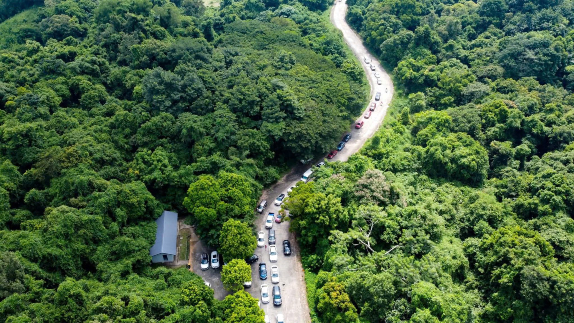 Khách du lịch mất tích nhiều ngày trong rừng Cúc Phương- Ảnh 1.