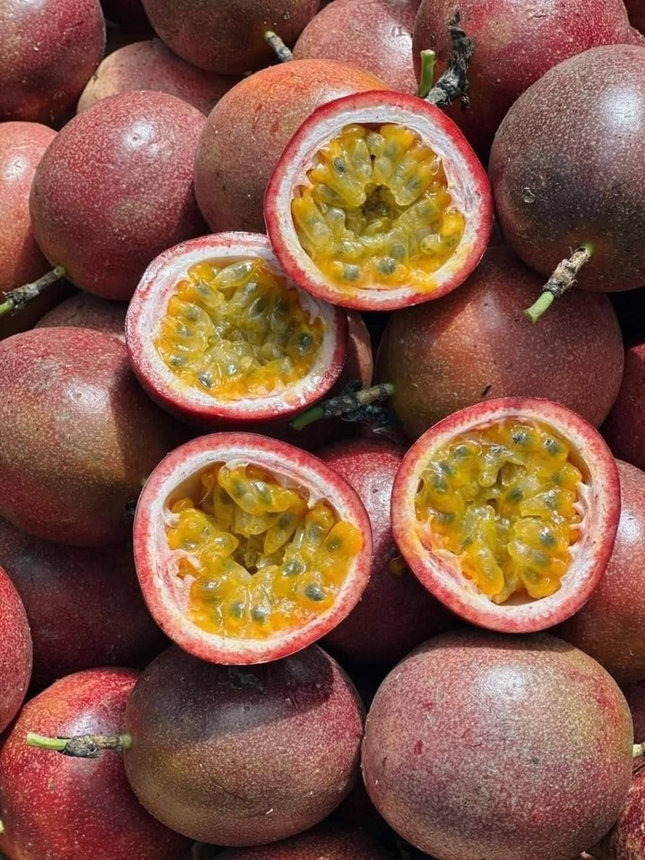 Loại quả được đánh giá "tốt nhất thế giới", ở Việt Nam trồng bạt ngàn- Ảnh 1.