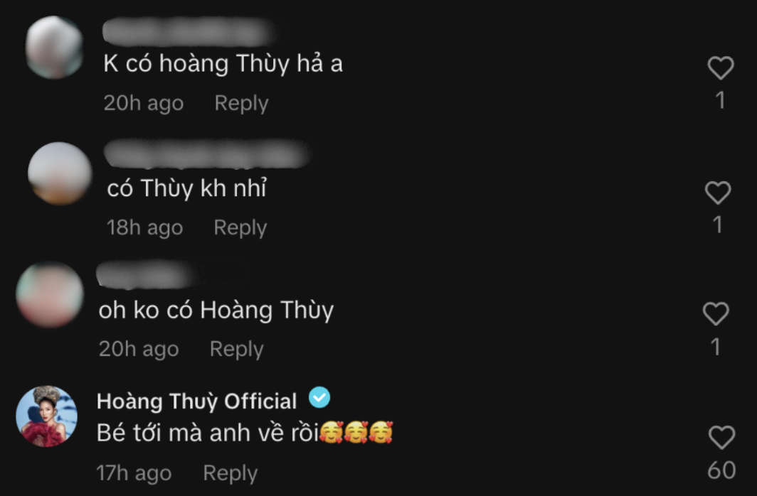 Kỳ Duyên thế chỗ Hoàng Thuỳ, thẳng thắn đáp trả 1 câu xanh rờn- Ảnh 6.
