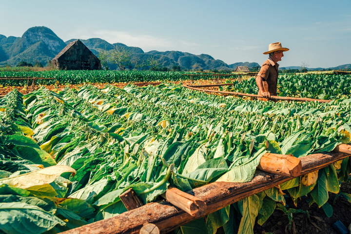 4 điểm đến không thể bỏ lỡ khi du lịch Cuba- Ảnh 2.