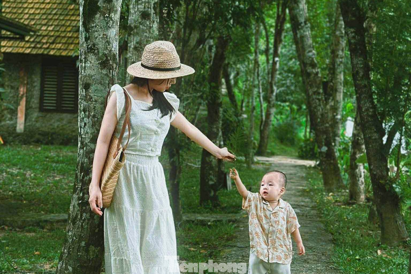 Khu du lịch vừa được Đà Nẵng quy hoạch có gì?- Ảnh 17.