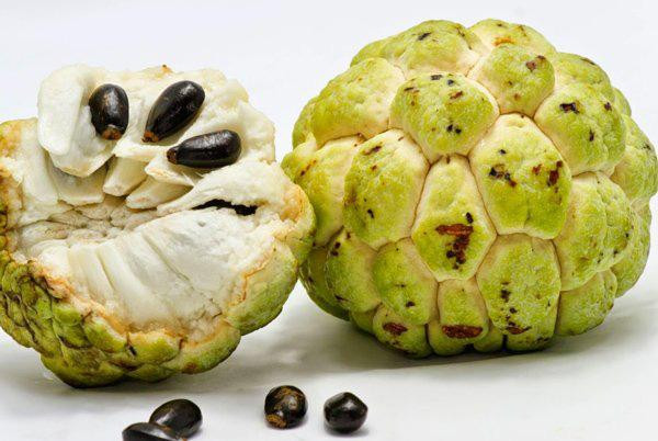 Quả na ngon nhưng có một phần "cực độc", biết mà tránh kẻo ngộ độc, mù mắt- Ảnh 1.
