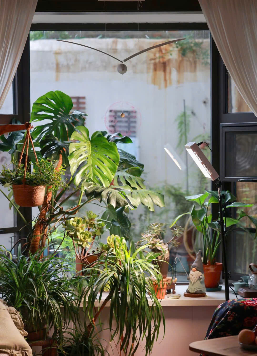 Căn nhà 100m2 của người phụ nữ sinh năm 1975 không lương hưu, không con cái gây kinh ngạc- Ảnh 2.