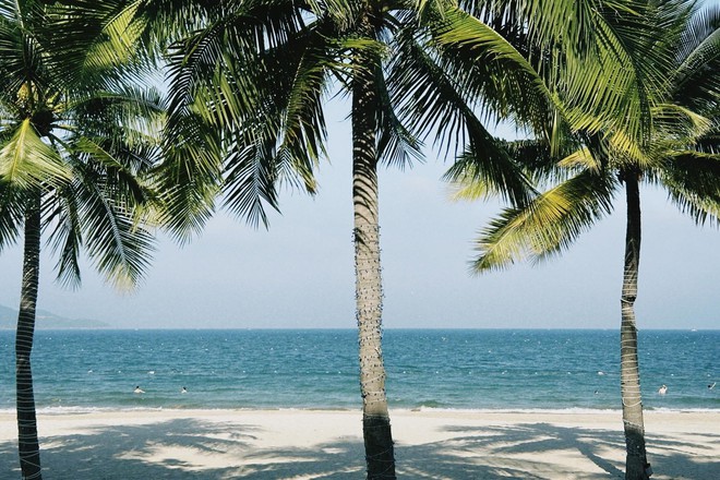 Bãi biển biệt lập cách trung tâm chưa tới 10km, du khách nhận xét: Đúng là biển xanh, cát trắng!- Ảnh 3.