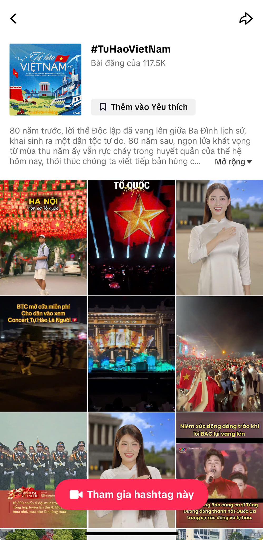 Tự hào Việt Nam!- Ảnh 5.