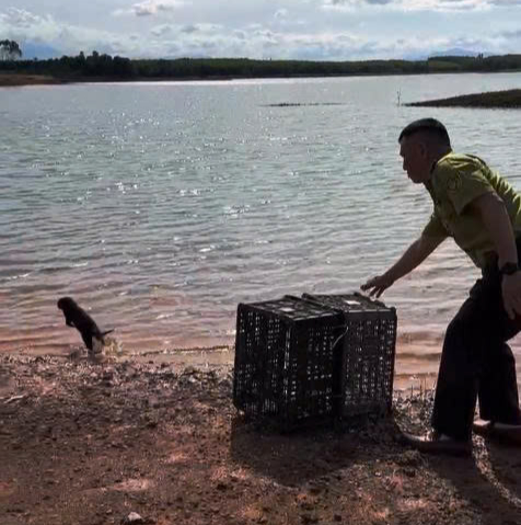 Lần theo tiếng kêu lạ trong đêm, người dân bắt được con vật quý hiếm- Ảnh 1.