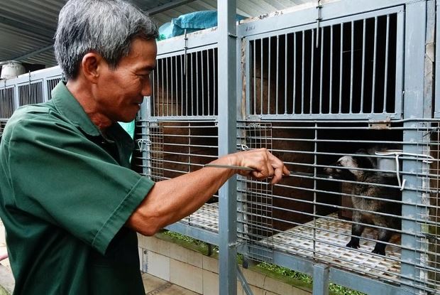 Cãi vợ nuôi con "đặc sản" dân nhậu thích mê, lão nông kiếm bộn tiền- Ảnh 1.