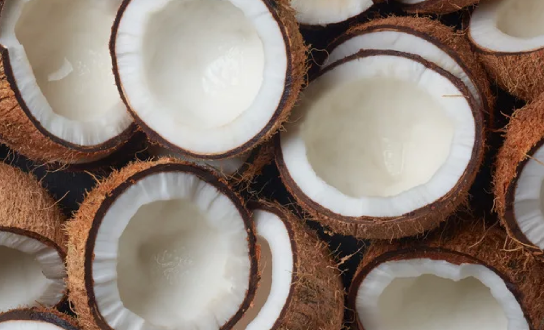 Indonesia - 'Vương quốc' dừa của thế giới- Ảnh 2.