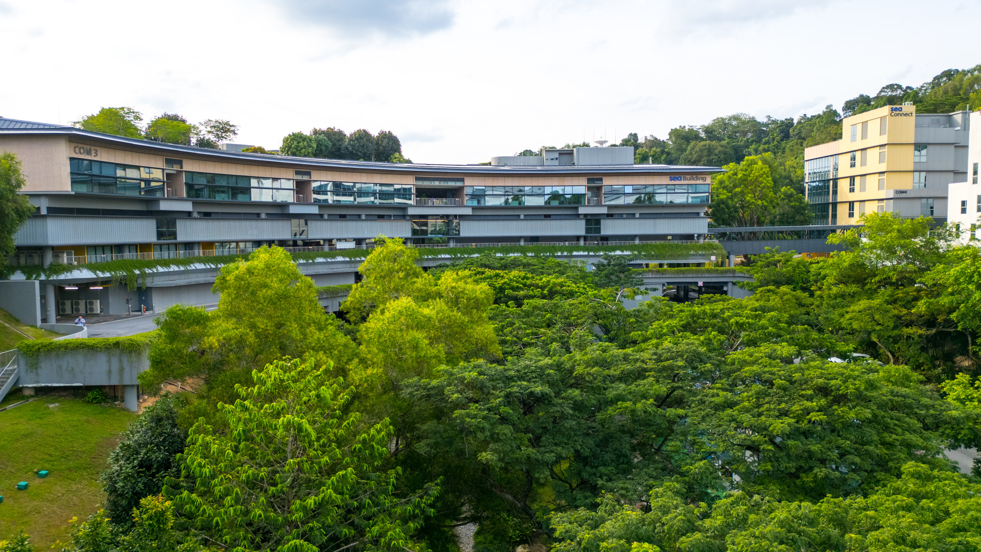 Thấy cảnh này mới hiểu vì sao người ta giỏi hơn mình!- Ảnh 5.