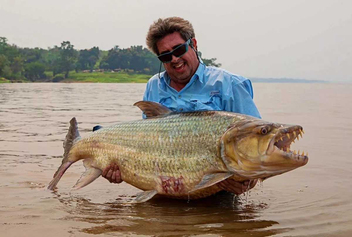 Cần thủ câu được con cá đáng sợ nặng 34kg trên sông- Ảnh 1.
