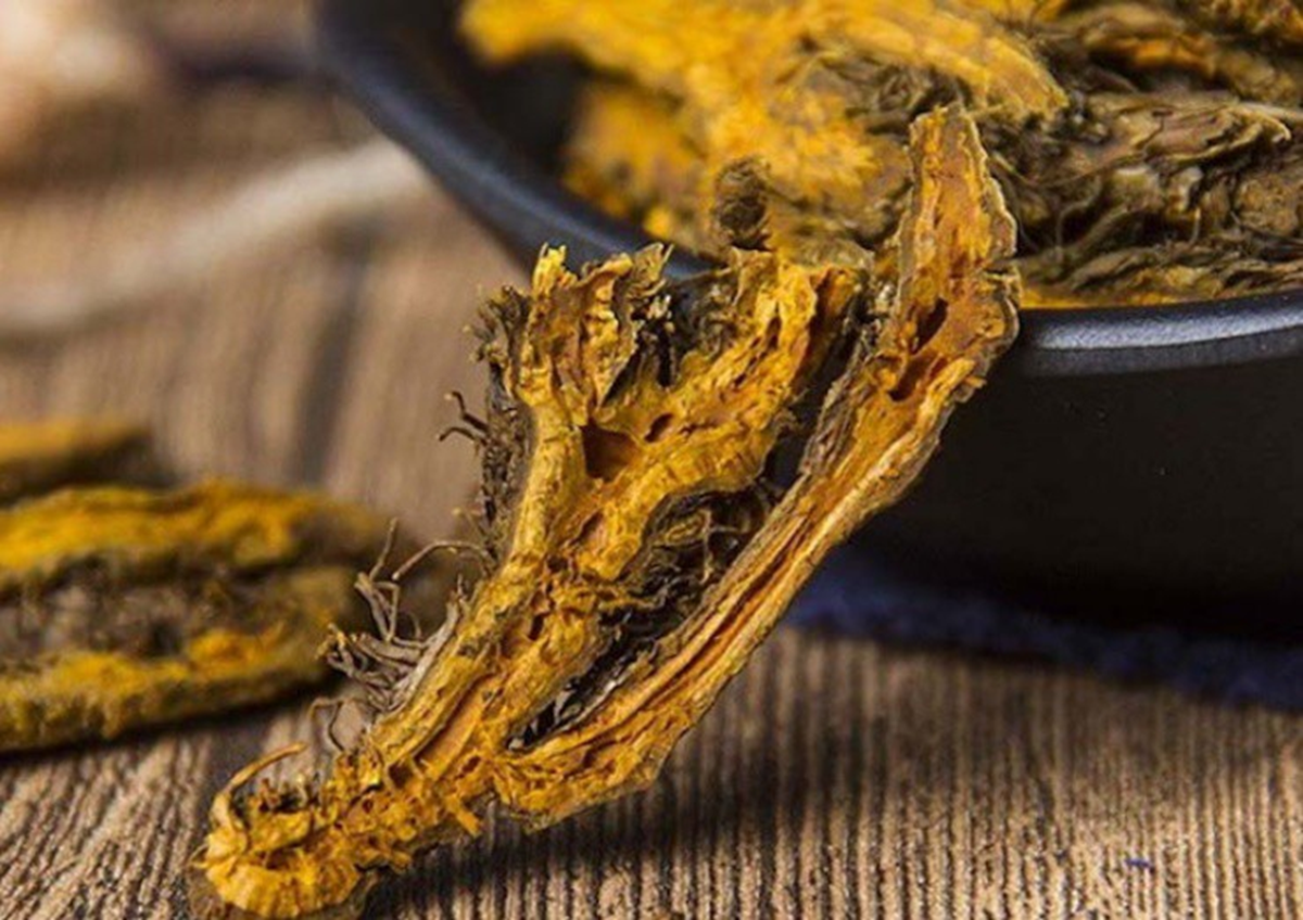 Loại cây dại trước ít ai ngó, nay lên núi nhổ bán "đút túi" hơn nửa triệu/kg- Ảnh 2.