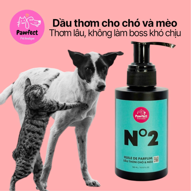 Thú cưng tắm xong vẫn hôi, đâu là giải pháp?- Ảnh 5.