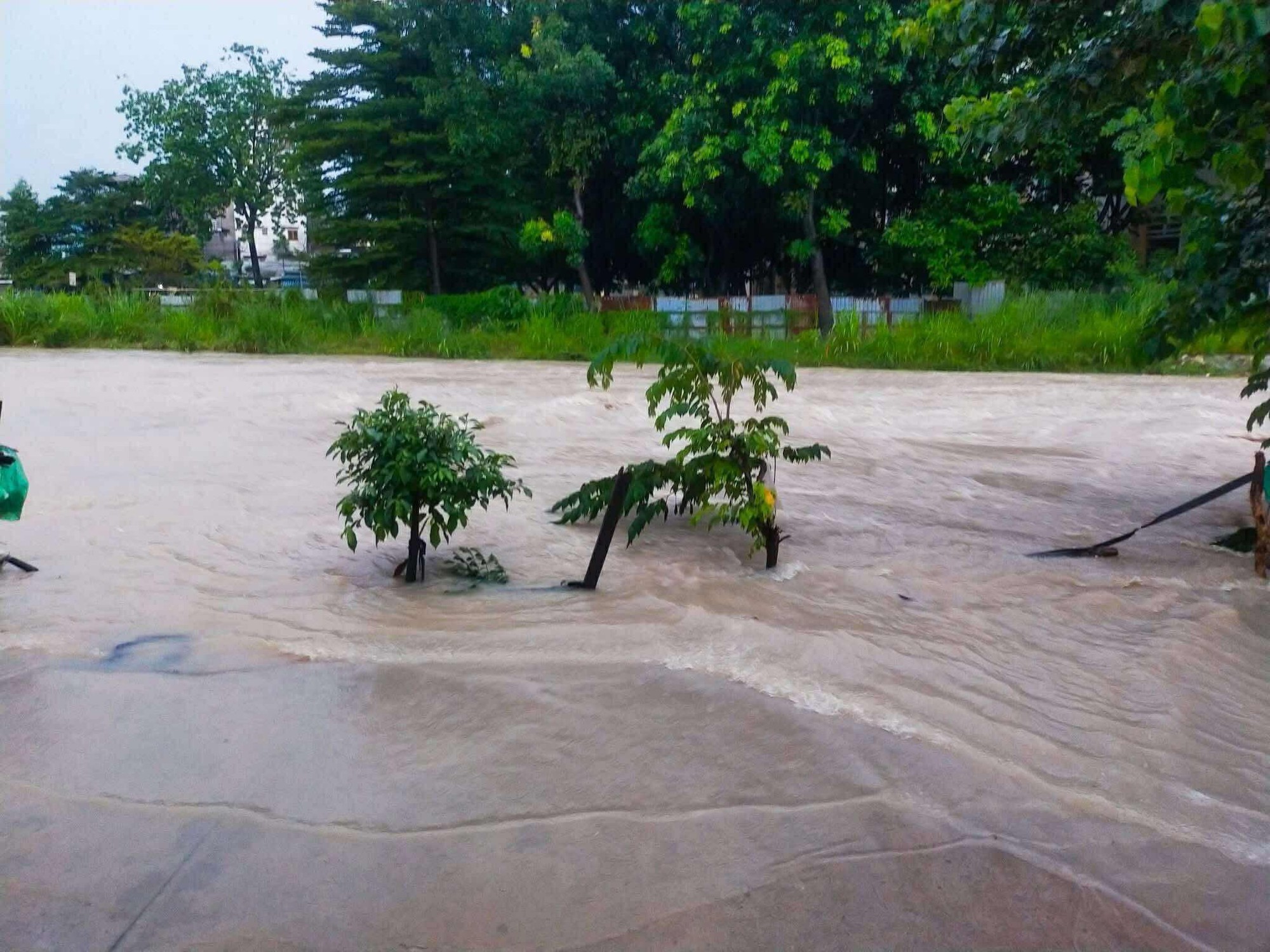 Nhiều nhà dân ở Đồng Nai chìm trong "biển nước", đường phố kẹt cứng- Ảnh 19.