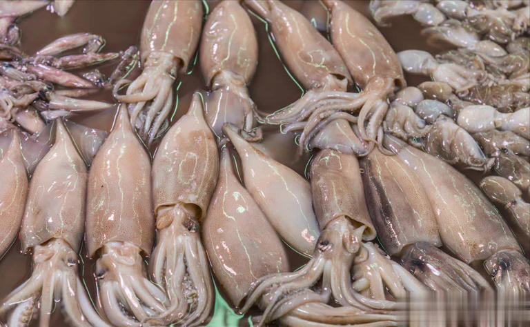 5 loại cá biển hoang dã, không thể nuôi nhân tạo vừa rẻ vừa béo ngậy, bổ như sâm lại ngon “hết nước chấm”- Ảnh 2.