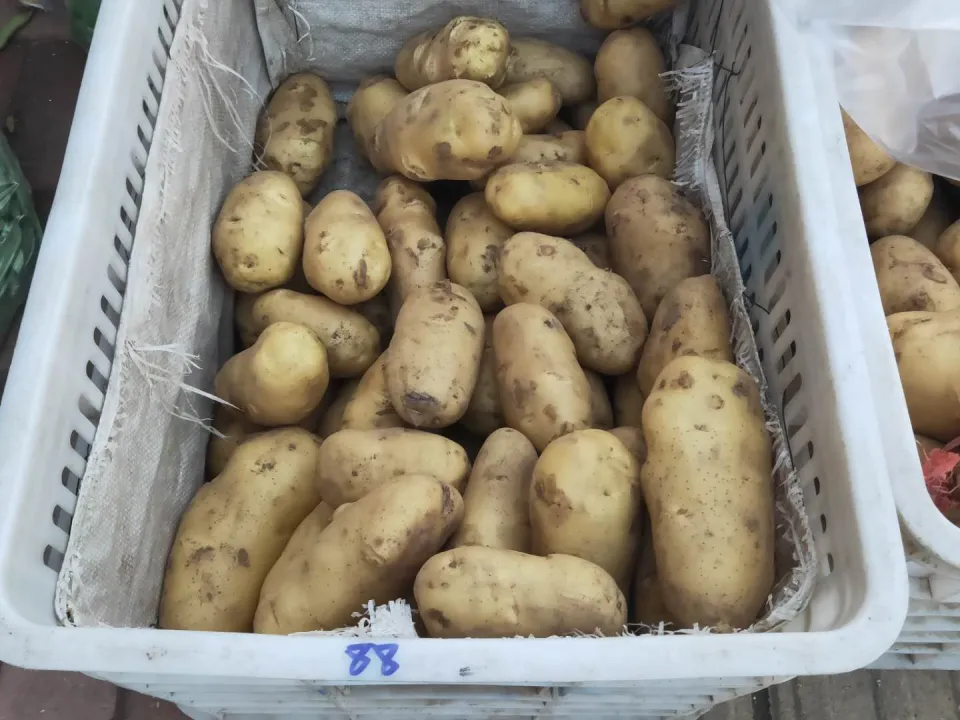 6 loại rau mùa thu không cần phun thuốc trừ sâu, vừa ngon vừa an toàn cho sức khỏe- Ảnh 4.