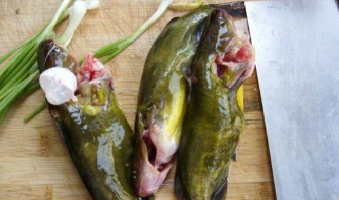 Đi chợ thấy 3 loại cá này thì NÉ ngay, rẻ mấy cũng không mua - loại số 3 nhiều bà nội trợ rất thích!- Ảnh 1.