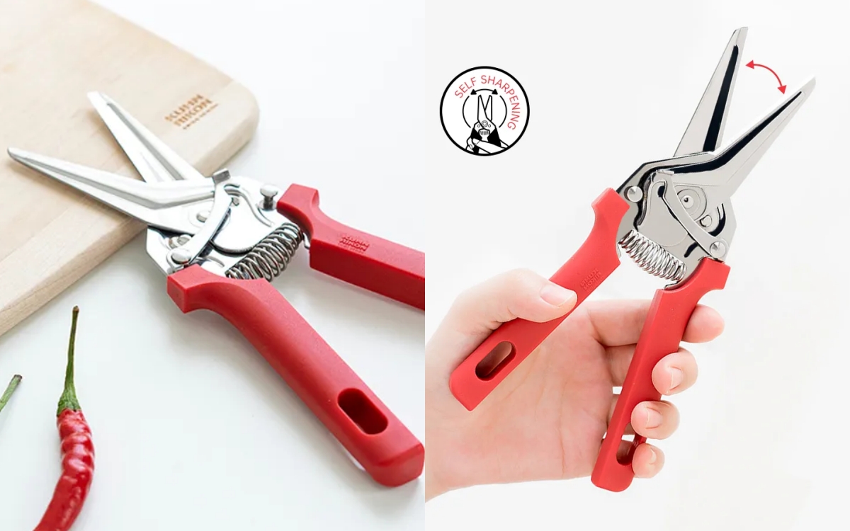 "Dâu hào môn" Linh Rin đổi cả tính sau khi sinh con, dốc sức mang về nhà 1 thứ đặc biệt- Ảnh 3.