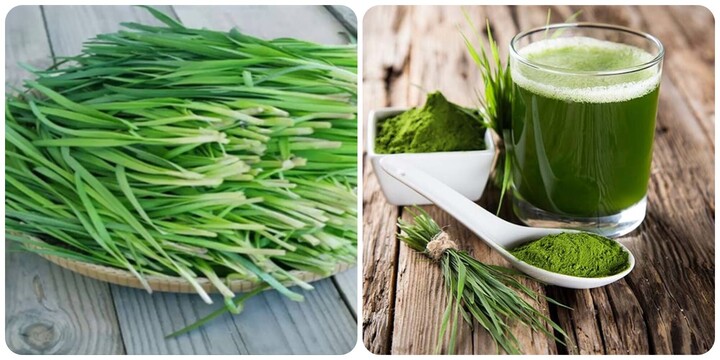 Lá hẹ - Loại rau nhỏ mà có võ, hỗ trợ phòng chống ung thư, tốt cho sức khỏe- Ảnh 11.