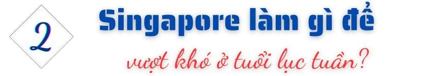 GDP tăng 560 lần kể từ khi lập quốc, "con hổ" của ĐNÁ này giờ đây đối mặt thách thức “sống còn” ở tuổi 60- Ảnh 6.
