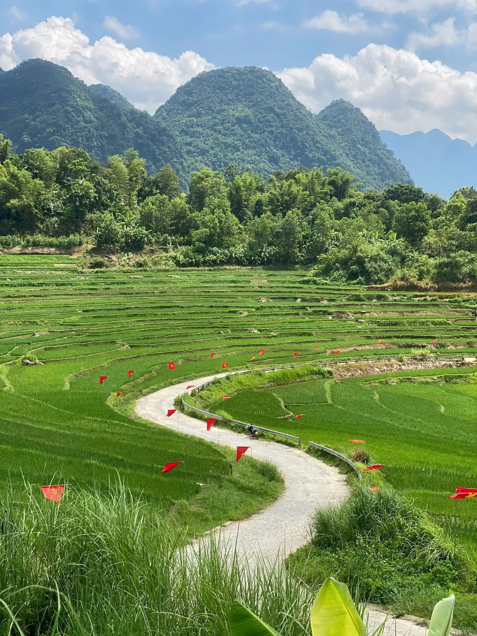 Không phải Sa Pa hay Mù Cang Chải, khung ảnh ruộng bậc thang đẹp như tranh này đang cực hot: Cung đường chữ S rực rỡ cờ đỏ sao vàng, thỏa mãn cả khách đi chill lẫn trekking khám phá- Ảnh 5.