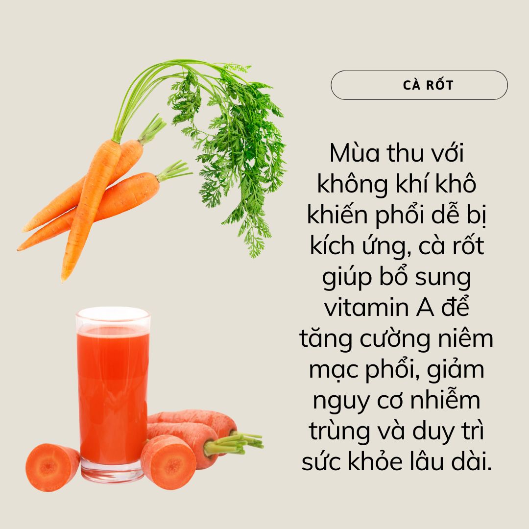 Có 2 loại rau đặc biệt tốt cho phổi nên ăn nhiều vào mùa thu: Vừa lành tính, ít thuốc trừ sâu và ai cũng đủ khả năng mua- Ảnh 2.
