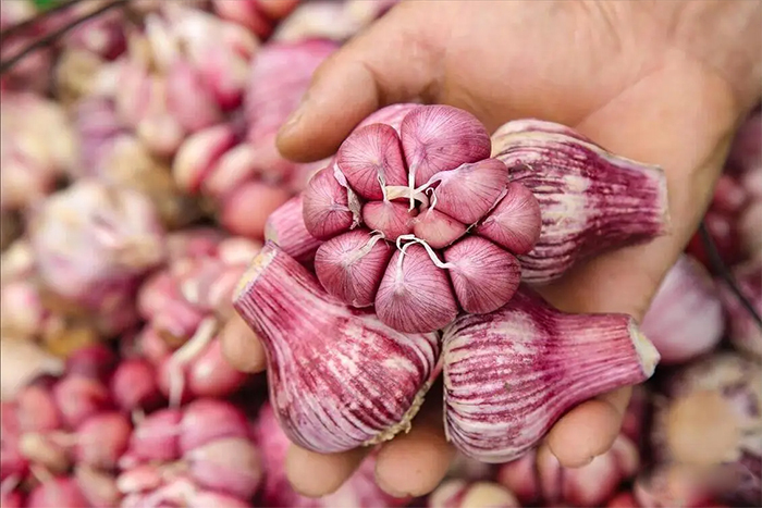 5 loại tỏi tuyệt đối không mua kẻo gây hại sức khỏe- Ảnh 1.